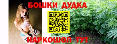 гидропоника Будённовск