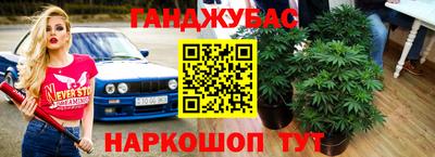 гидропоника Будённовск