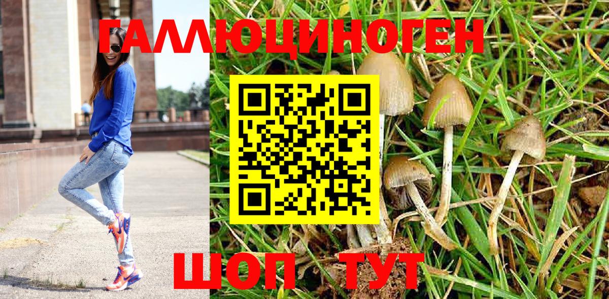 Саратов  Галлюциногенные грибы MAGIC MUSHROOMS  Вход с VPN  Псилоцибиновые грибы мухоморы 