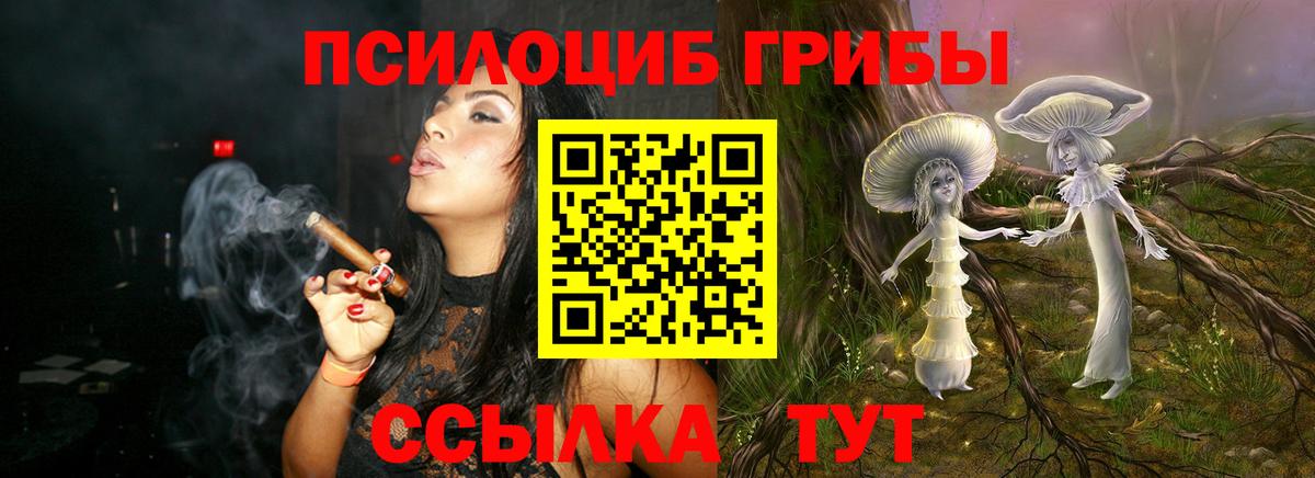 Codein Саратов